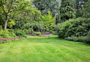 Optimiser l'expérience du jardin à Gelvecourt-et-Adompt